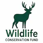 Fiktives Partner-Logo 1 präsentiert auf der modernen Demo Website erstellt von webdesign4you